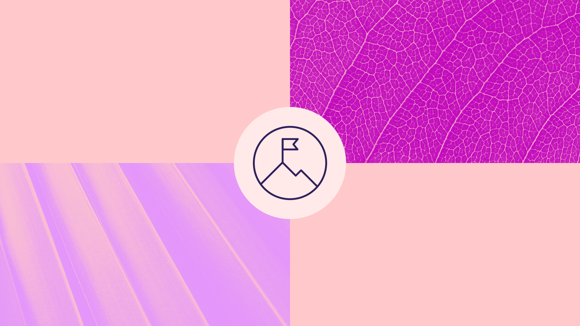 Event header image
